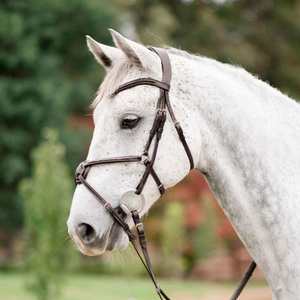 Bridles Accessories: Ava Italian Leather Bridle