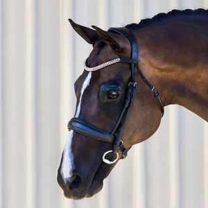 Bridles Accessories: Madeline Italian Leather Bridle