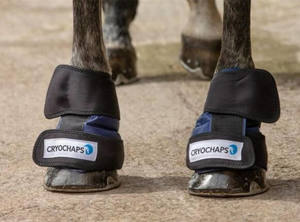 Cryochaps Ice Wrap Pair Pastern/Hocks/Knees