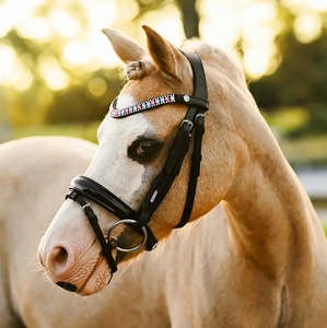 Hanovarian: Unicorn Pony Bridle