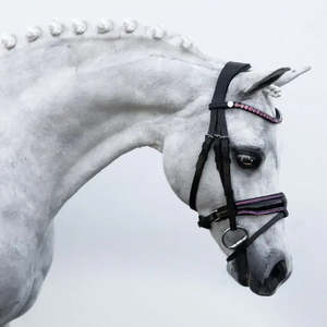 Fairyfloss Pony Bridle