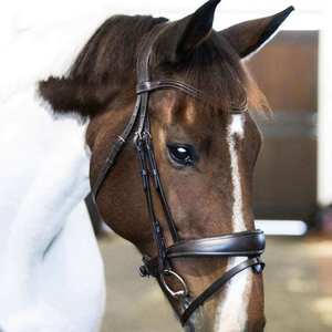 Hanovarian: Mikayla Convertible Bridle