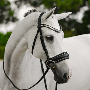 Cavesson: Diva Snaffle Bridle