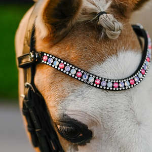 Bridle Accessories: Unicorn Browband