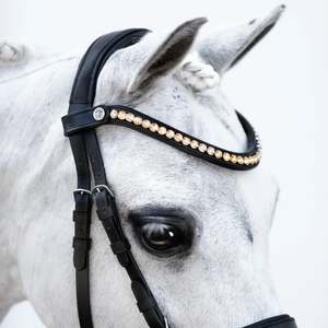 Bridle Accessories: Iddy Biddy Browband