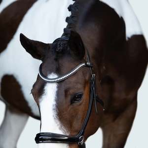Lumiere Symphony Bitless Bridle