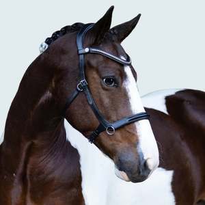 Lumiere Santiago Bitless Bridle
