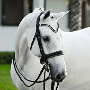 Lumiere: Lumiere Saphira Double Bridle
