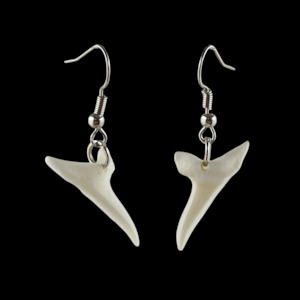 Mako Shark Teeth Earrings - 26mm #105