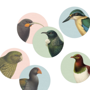 NZ Native Birds Placemats Set of 6