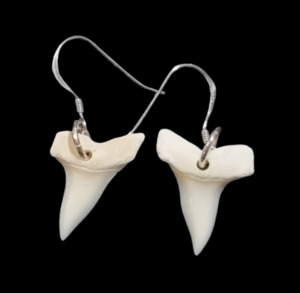 Small Mako Shark Teeth Earrings - 2cm #363