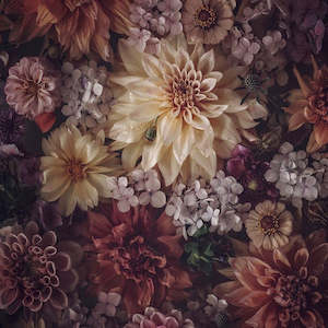 Spacecraft Gift Card: Banana Split Card