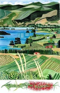 Lori Davis: Wellington Still Life Print - Mapua Inlet Tasman