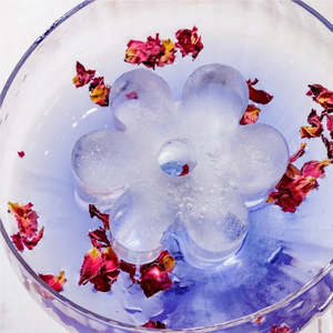 Female Christmas Gift Guide: Drinks Plinks Ice Cube Tray