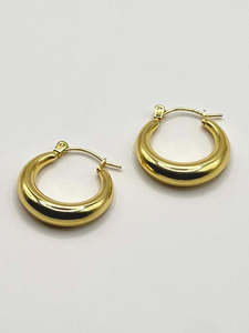 Stainless Steel Oval Hoop Earrings