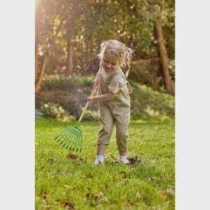 Hape Lawn Rake