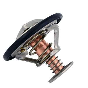 01462-006 - THERMOSTAT 76C