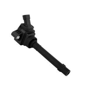 Ignition Coils: 30640-002 - IGNITION COIL