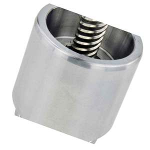 Caliper Pistons: 2176-TTGR - REAR CALIPER PISTON WITH MECHANISM D48