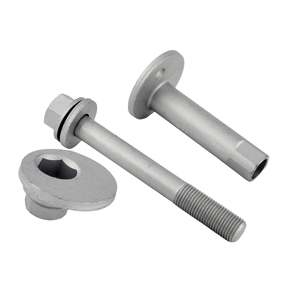 0132-010-KIT - REPAIR KIT, CAM SUB-ASSEMBLY