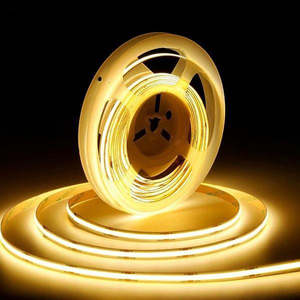 Led Strip Lights: Ultra Bright LED Solid Light Strip - COB 12V 480led/m x 2m with DC female plug