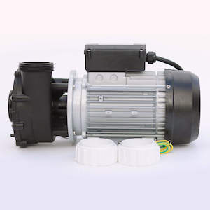 Spa Pumps: LX 2 Speed Pump 2" WP200-II-2SPD