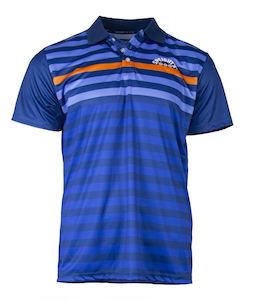 Products: Striped Polo Shirt