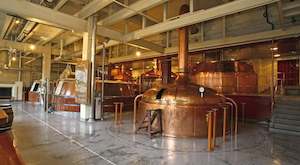 Under 50: Brewery Tour