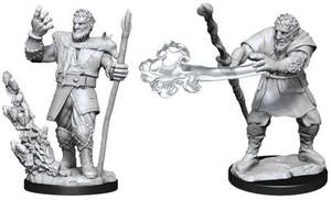 Rpg Miniatures: Nolzurs Marvelous Firbolg Druid Male