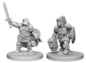 Rpg Miniatures: Nolzurs Marvelous Dwarf Female Paladin