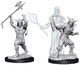 Nolzurs Marvelous Human Barbarian Male