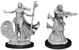Rpg Miniatures: Nolzurs Marvelous Human Wizard Female