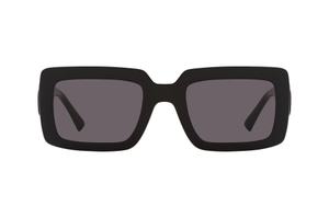 Longchamp: LongChamp LO743S