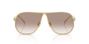 New Arrivals: Miu Miu A56S