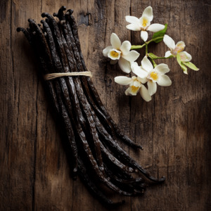 Organic Vanilla Beans - Madagascar Bourbon | SpiceBloom NZ
