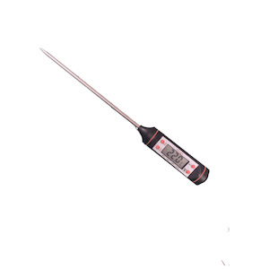 Extras: Digital Thermometer