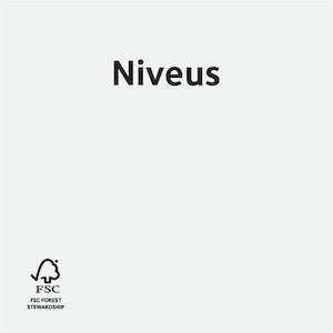 Office: Niveus