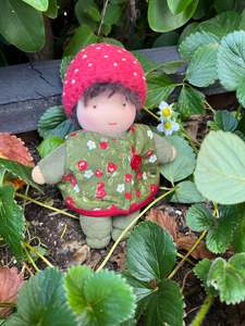 Soft body doll strawberry boy