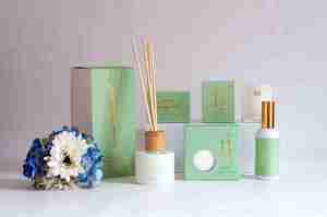 Living Light Lemon Bergamot Deluxe Alcohol Free Gift Box