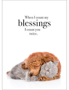 Affirmations When I Count My Blessings Card