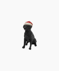 FC Black Dog with Santa Hat