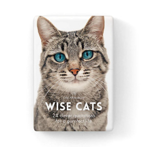 Affirmations: Affirmations 24 Wise Cat Cards + stand