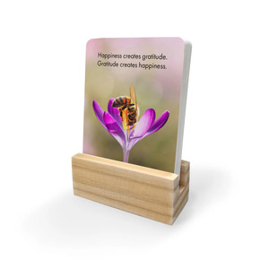 Affirmations 24 Just Bee Cards + stand