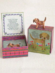 Lucky Charm in a Box Puppy