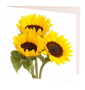 Cards: TT Little Card Sunflowers 7cm