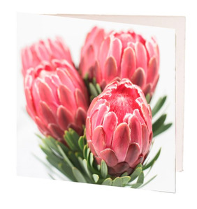 TT Little Card Pink Proteas 7cm
