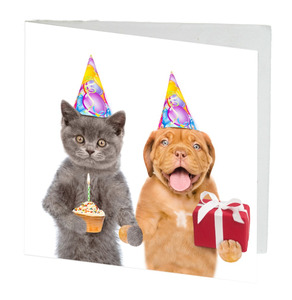 TT Little Card Birthday Cat Dog 7cm