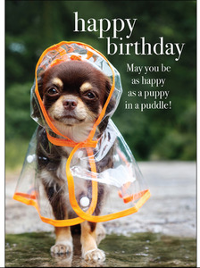 Affirmations Happy Birthday Card - Puppy in a Puddle