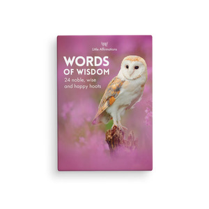 Affirmations: Affirmations 24 Words of Wisdom Cards + Stand