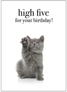 Affirmations Card - high five for your birthday!